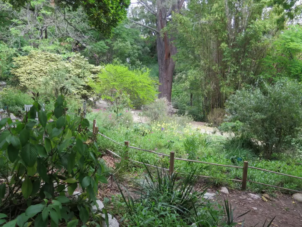 Many different shades of green.