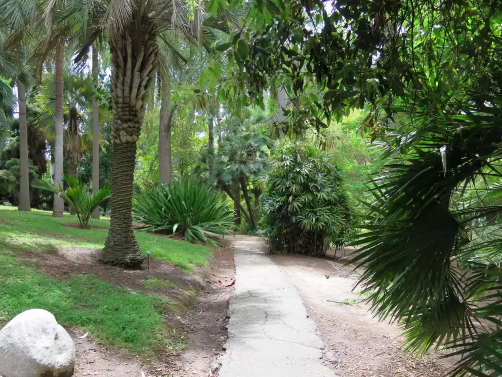 Mathias Botanical Garden, UCLA