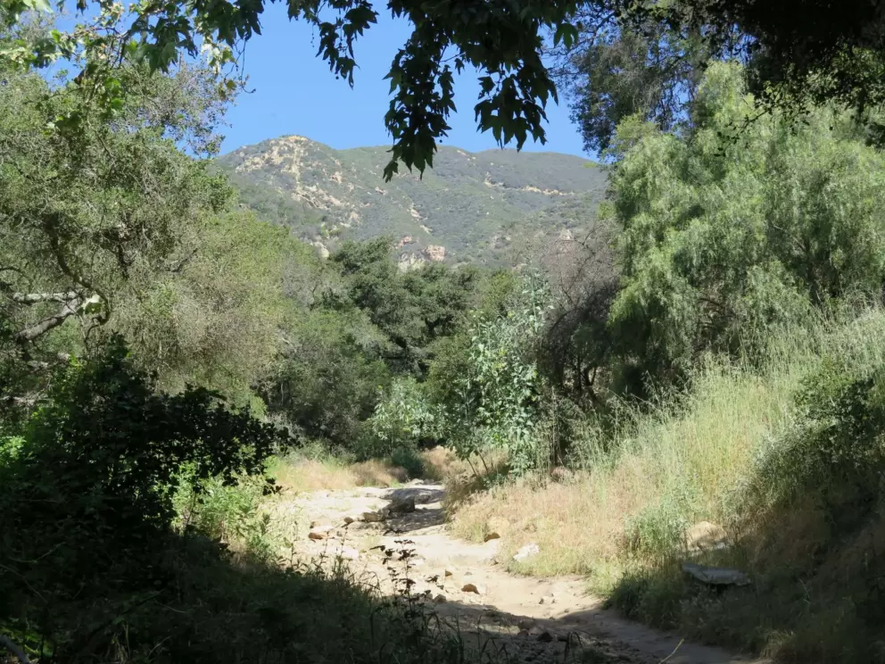 The beginning of the trail.