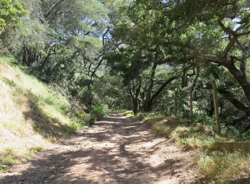 A shady part of the trail.