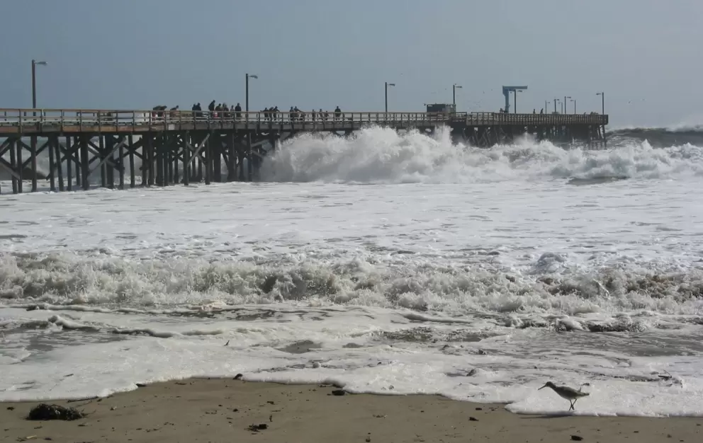Huge waves at Goleta Beach- February 2008.