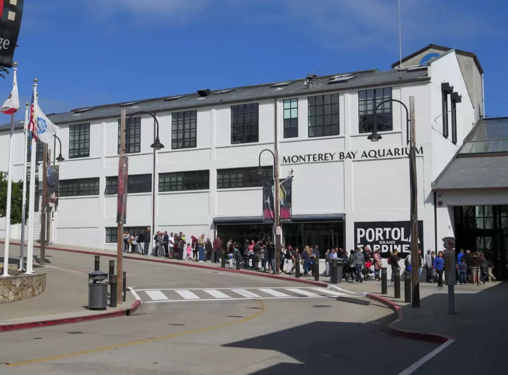 The Monterey Bay Aquarium.
