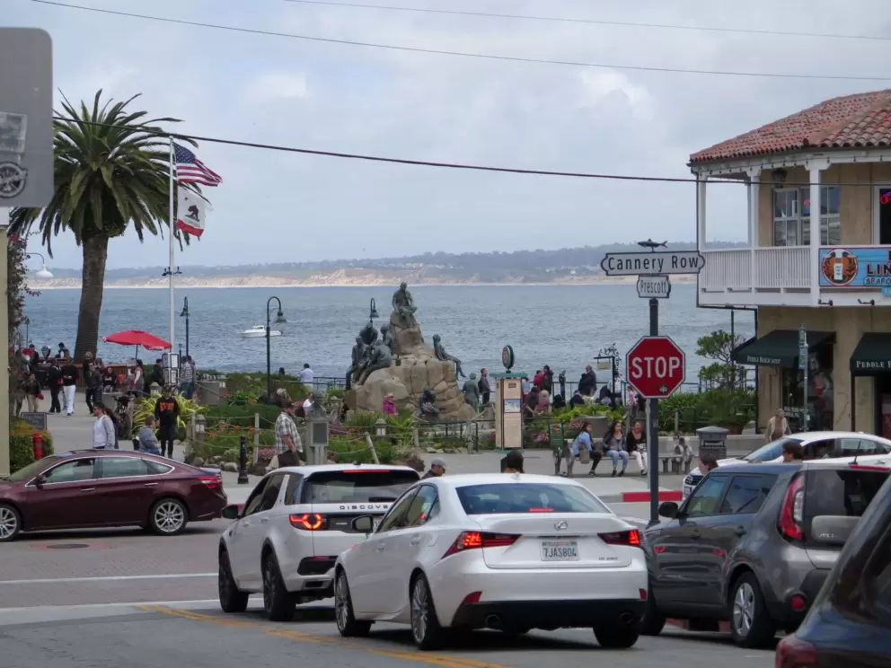 Statue, canary palm, historic building, and water views on Cannery Row.