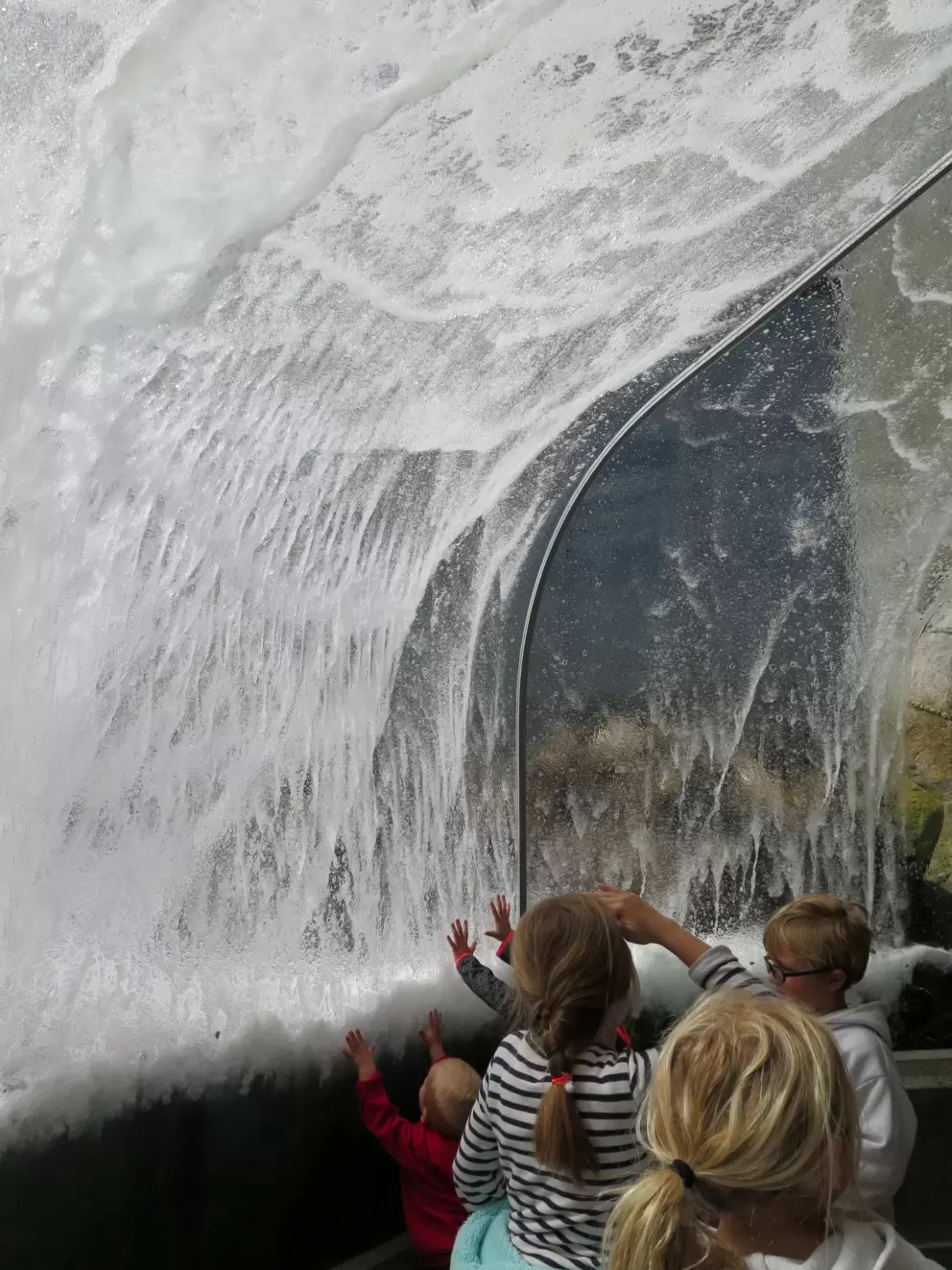 The Great Tide Pool is fun for kids!