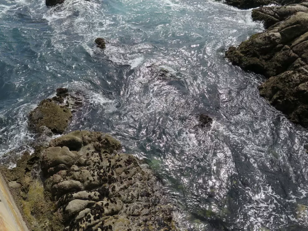 Looking down at the swirling waters of the ocean, from the aquarium's balcony.