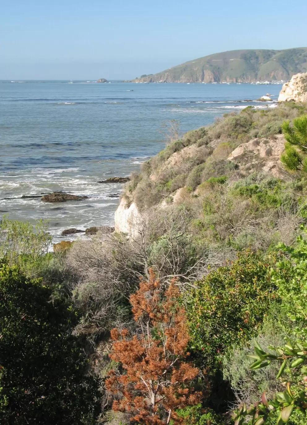 Looking down on the sea, from the path at The Bluffs.