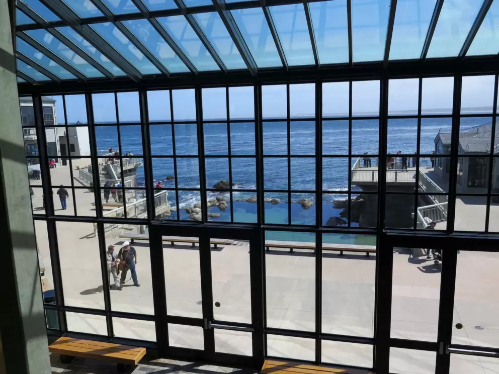 View of the ocean from inside the aquarium- what a spot!