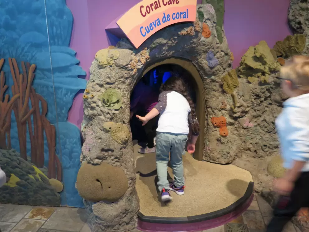 Kids like to go inside the coral cave.