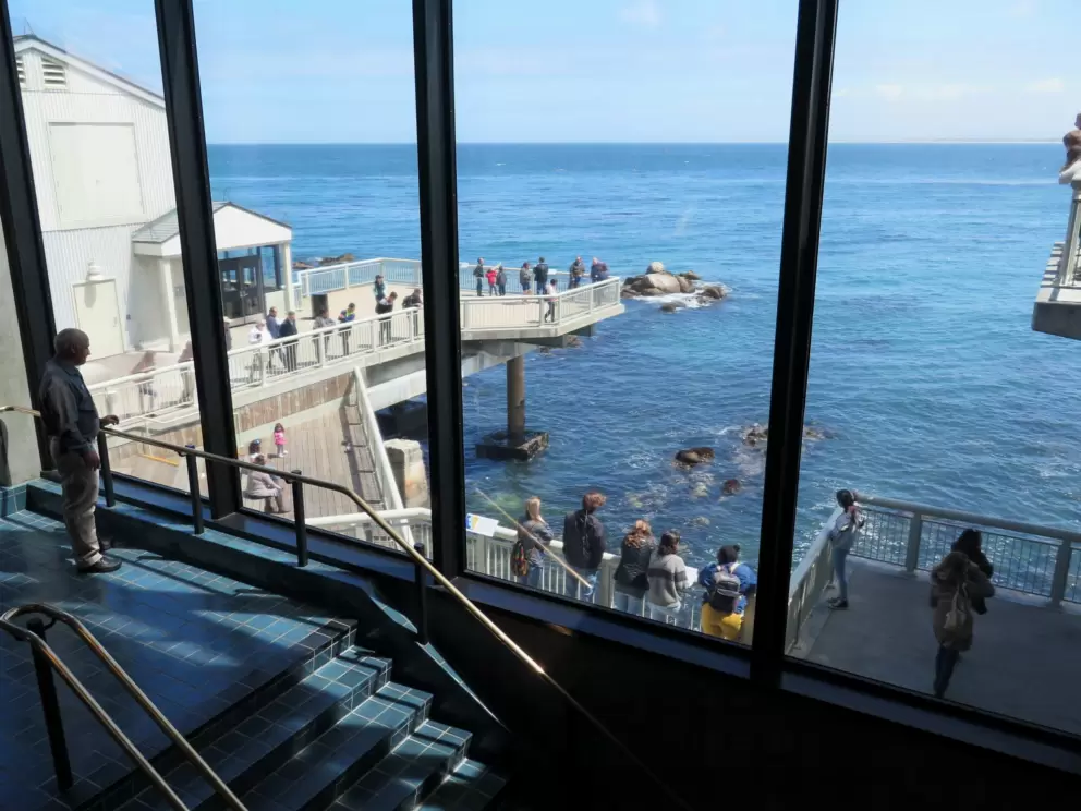 View of the ocean from the stairwell- wow!