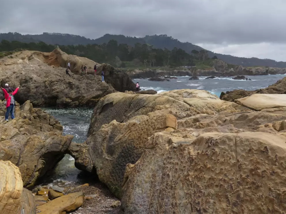 A wonderland, near Hidden Beach.