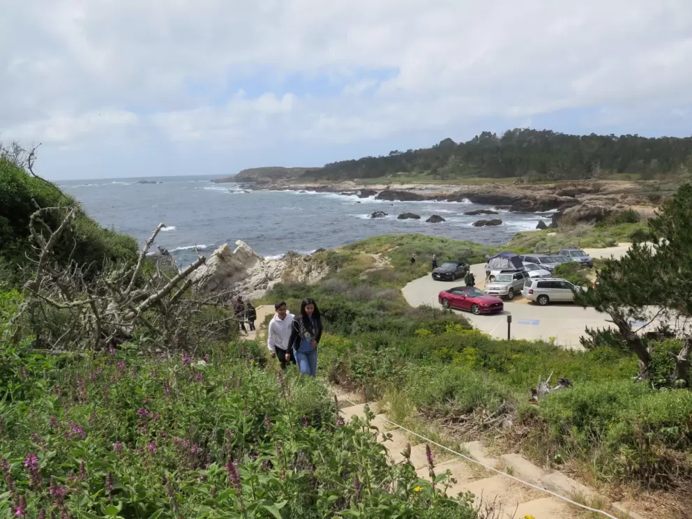 The stairs from the parking lot to the Bird Island Trail, which takes you on the cliffs above China Cove.