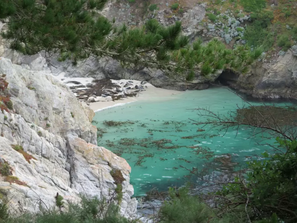 China Cove is idyllic- look at the color of the water!