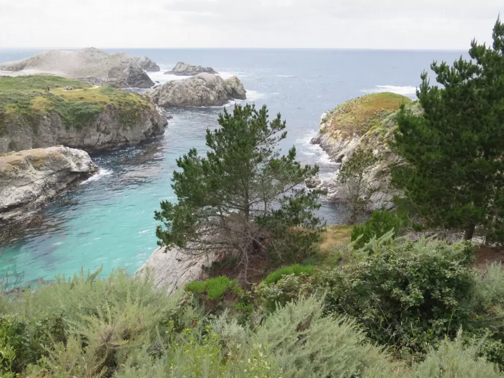 Looking down at green cliffs- wonderful!