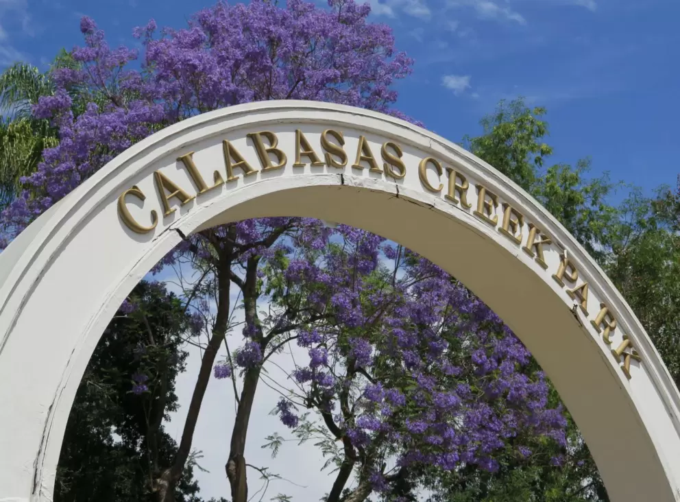 The entrance archway and purple flowering tree, at Calabasas Creek Park.