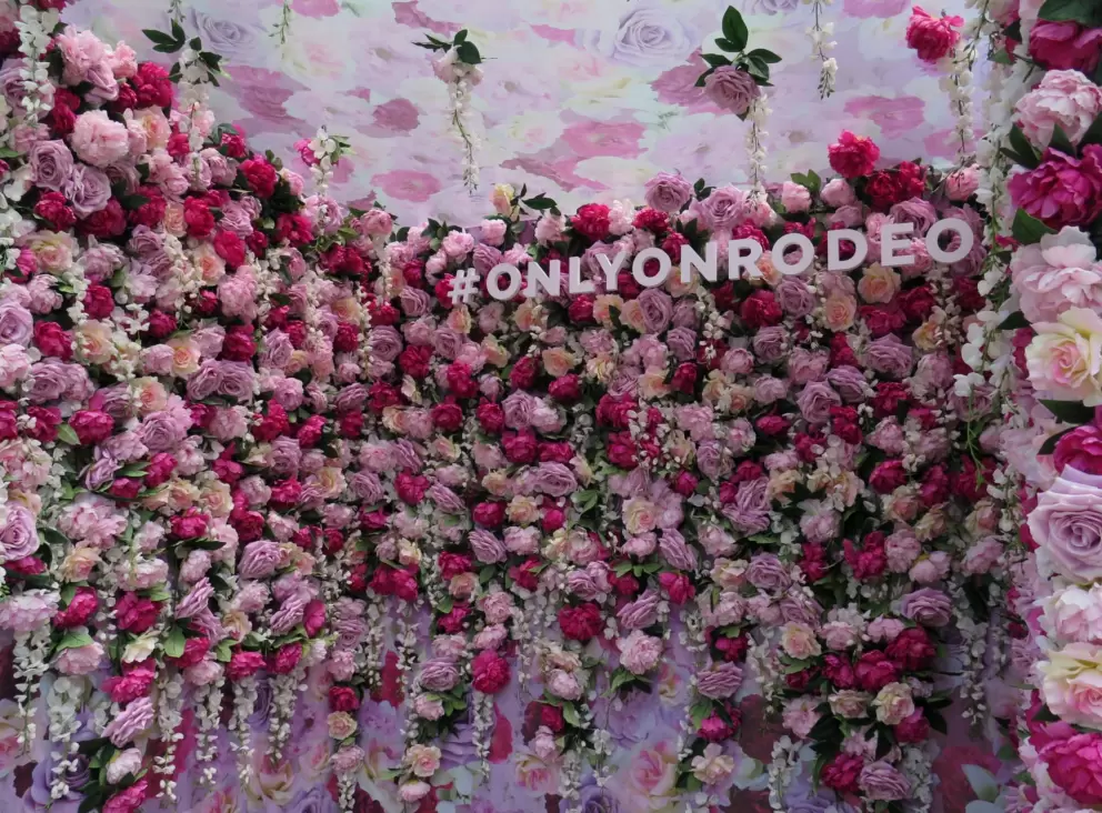 Pink roses in the selfie box on Rodeo Dr that says #ONLYONRODEO.