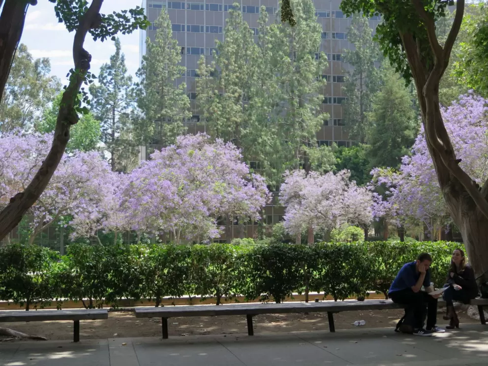 A cute couple sitting in the shade.