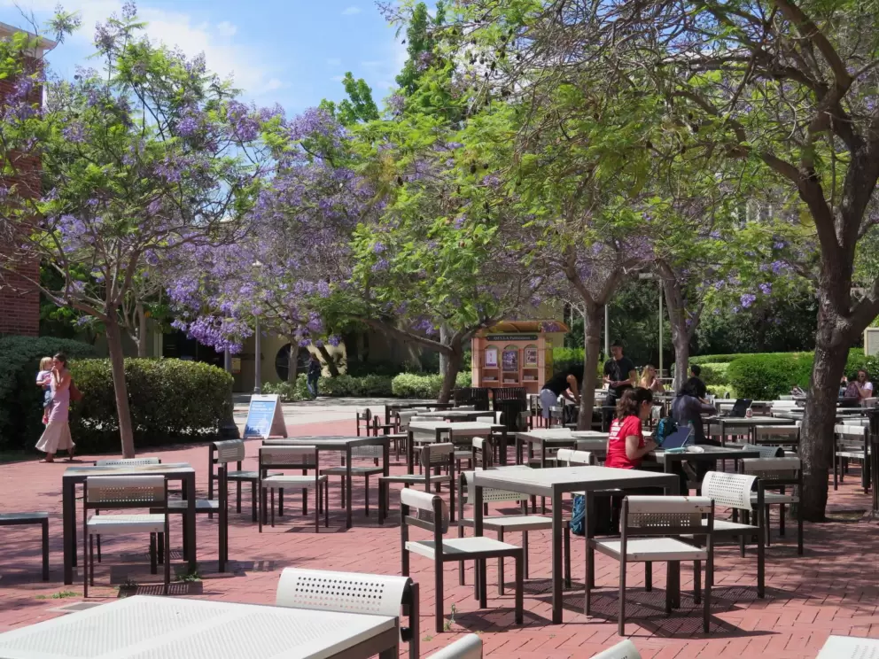 Outdoor snack area near the sculpture garden.