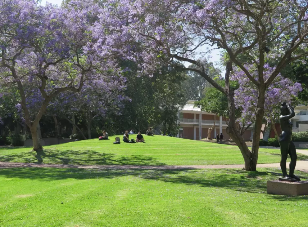 Sitting on a little knoll in the sculpture garden surrounded by purple trees.