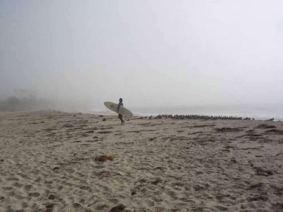 Surfer on a foggy November morning at Refugio Beach.