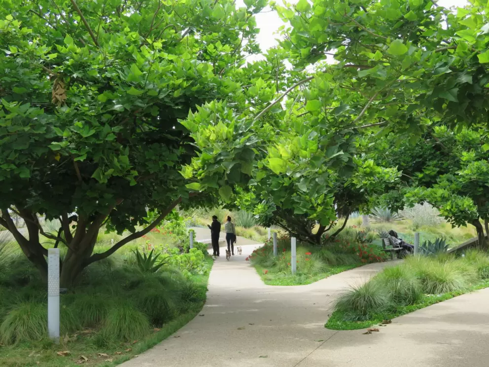 Leafy walkway in the center of the park.