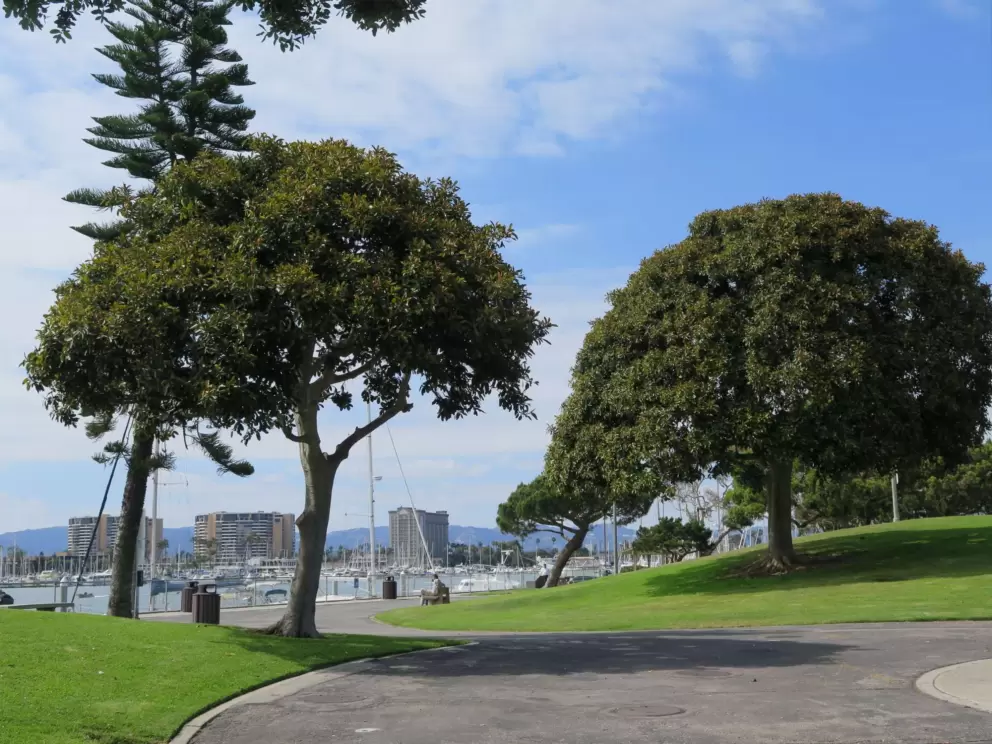 Cute trees and little grassy knolls.