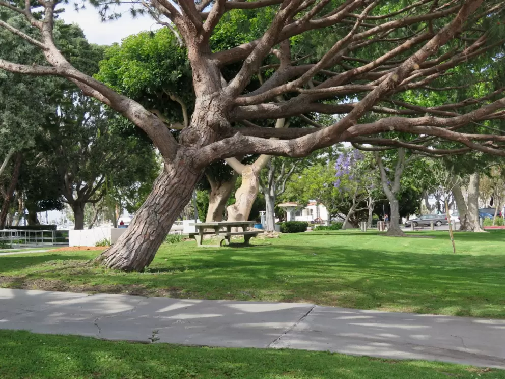 Picnic table in the shade.