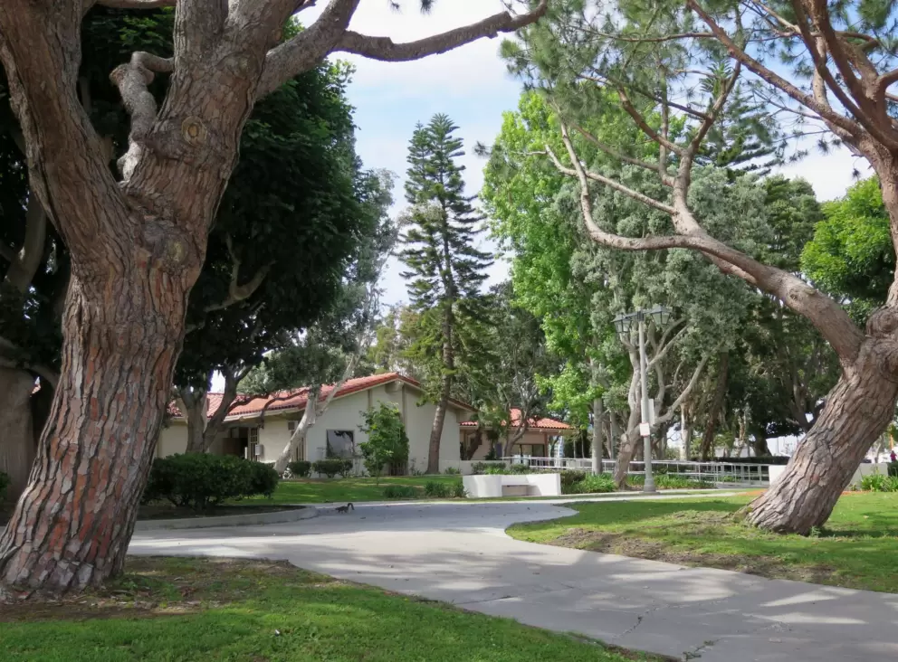 A variety of trees.
