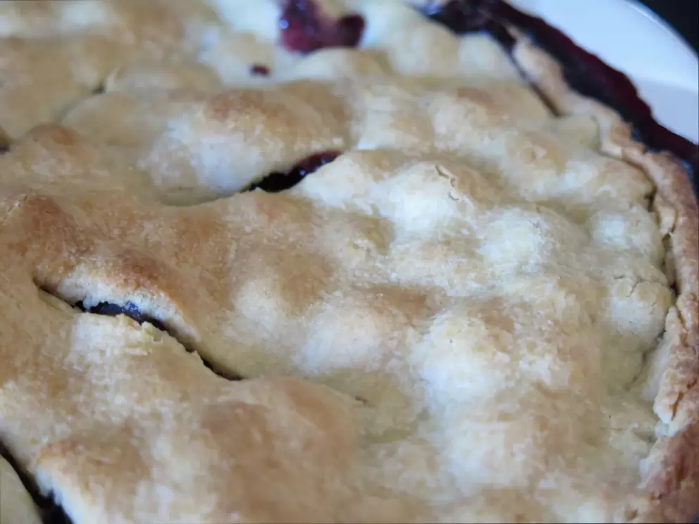 Little bumps where the blueberries are in the pie!
