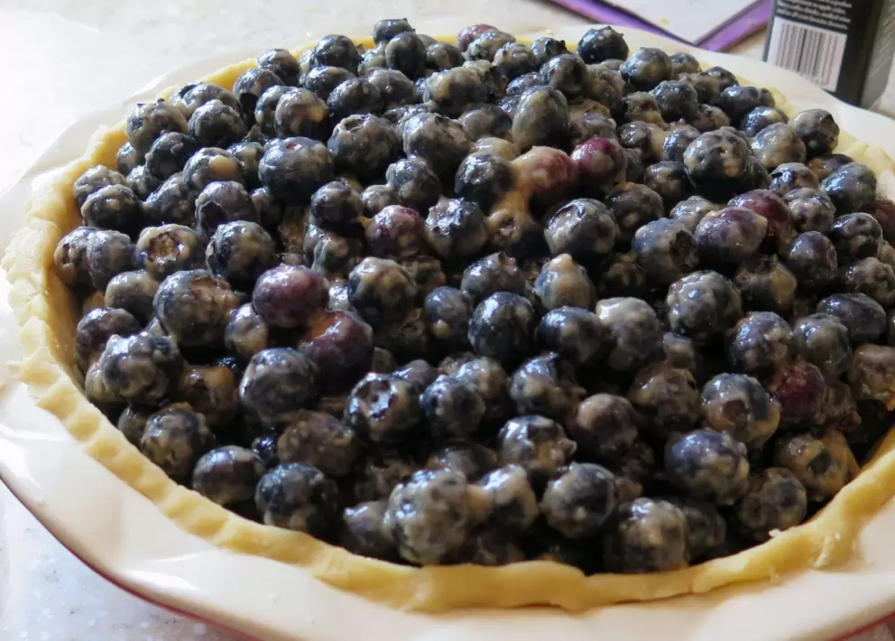 Blueberry pie, almost ready to be baked.