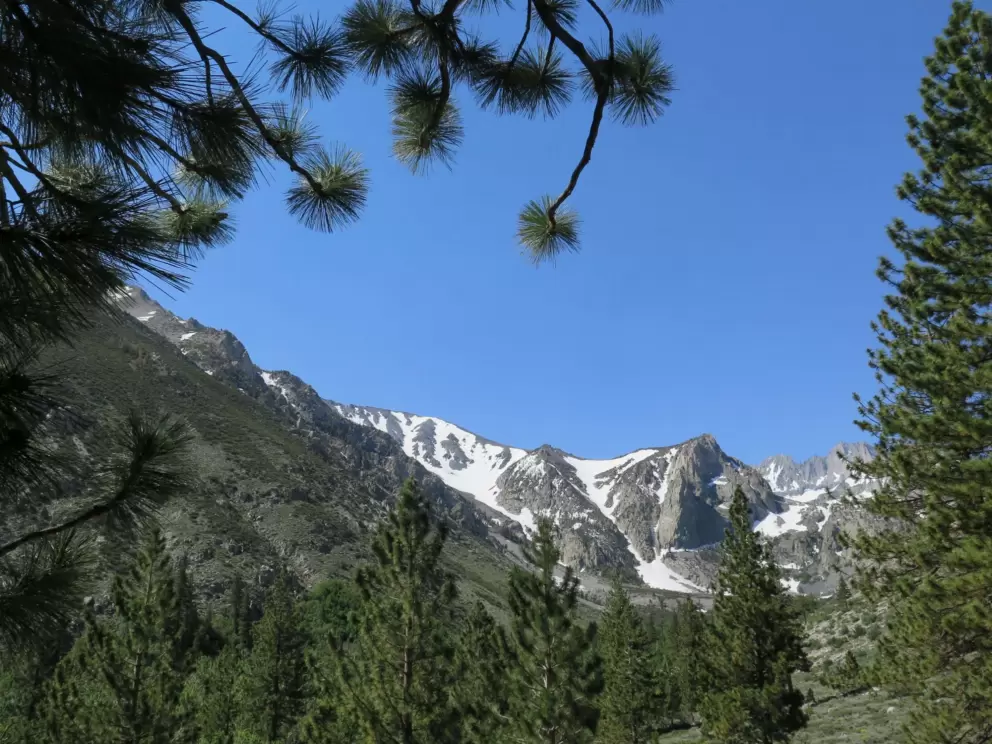 Big Pine Creek North Fork Trail, Eastern Sierras