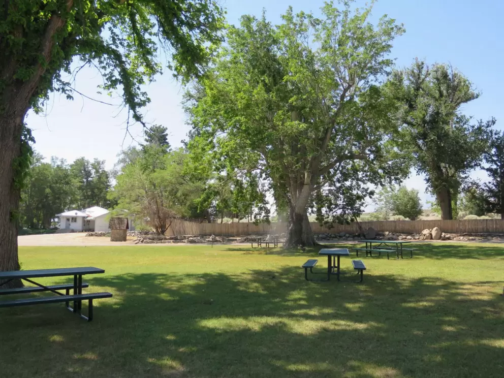 Picnic tables in the shade.