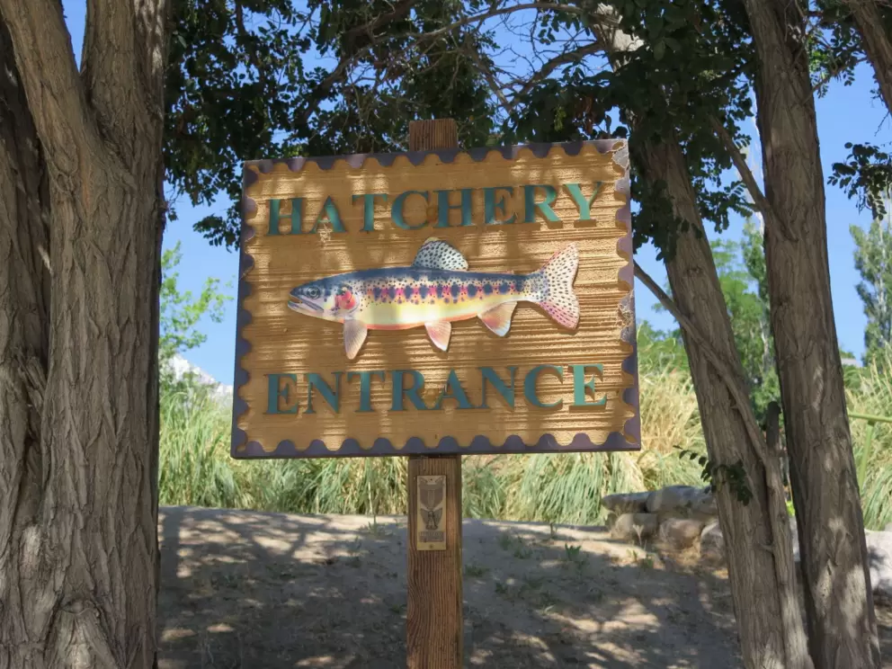 Hatchery entrance sign.