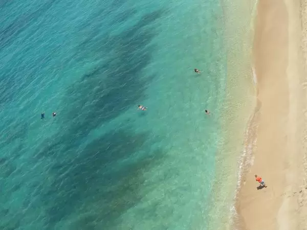 Looking down at swimmers makes you HAVE to go in!
