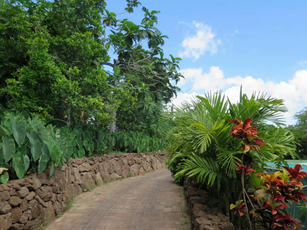 Stone wall along the path.