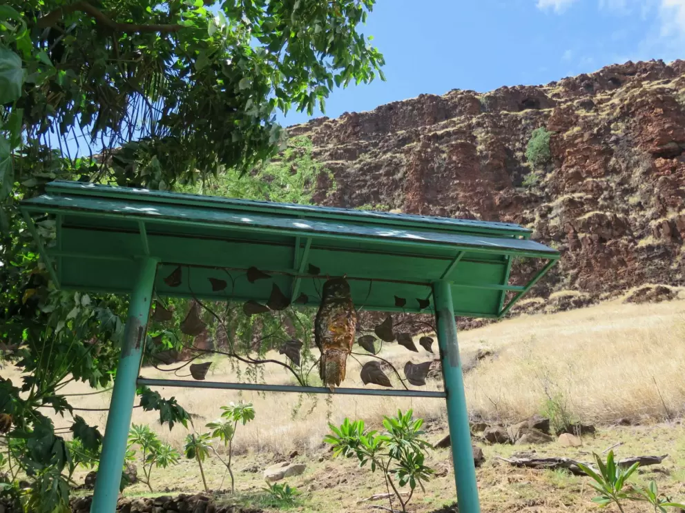 Decorative arch and golden mountain.