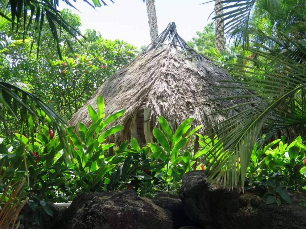 Thatched hut.