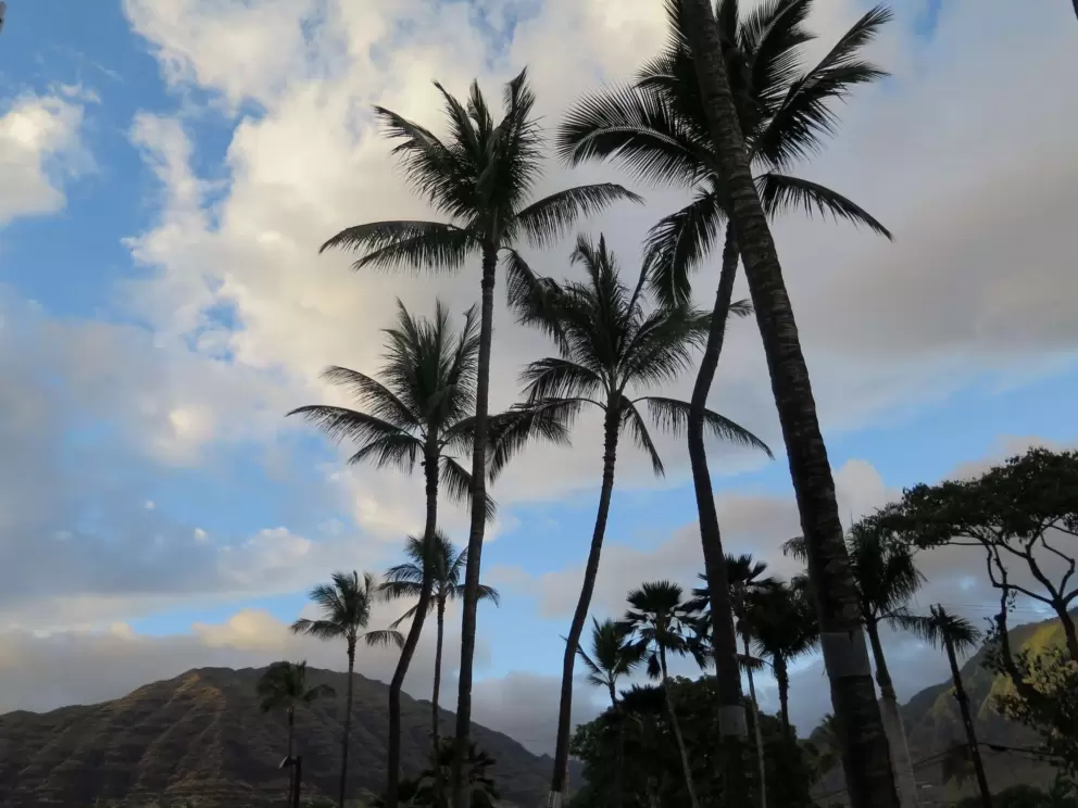 Beautiful mountains and trees.