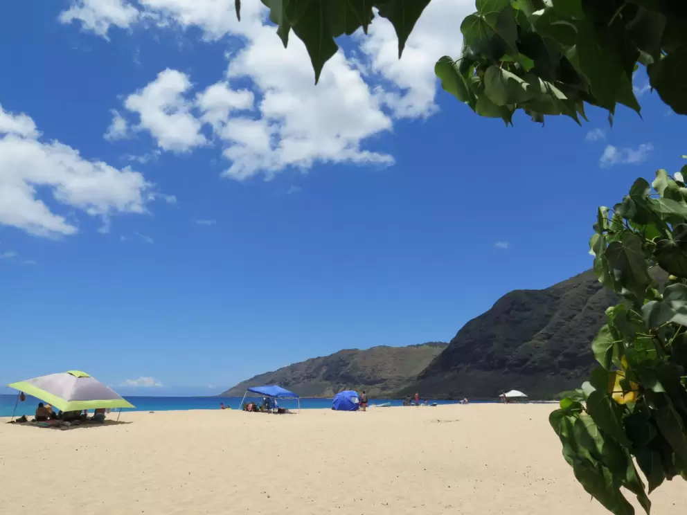 There's some trees way back on the beach, if you want to stand in the shade.