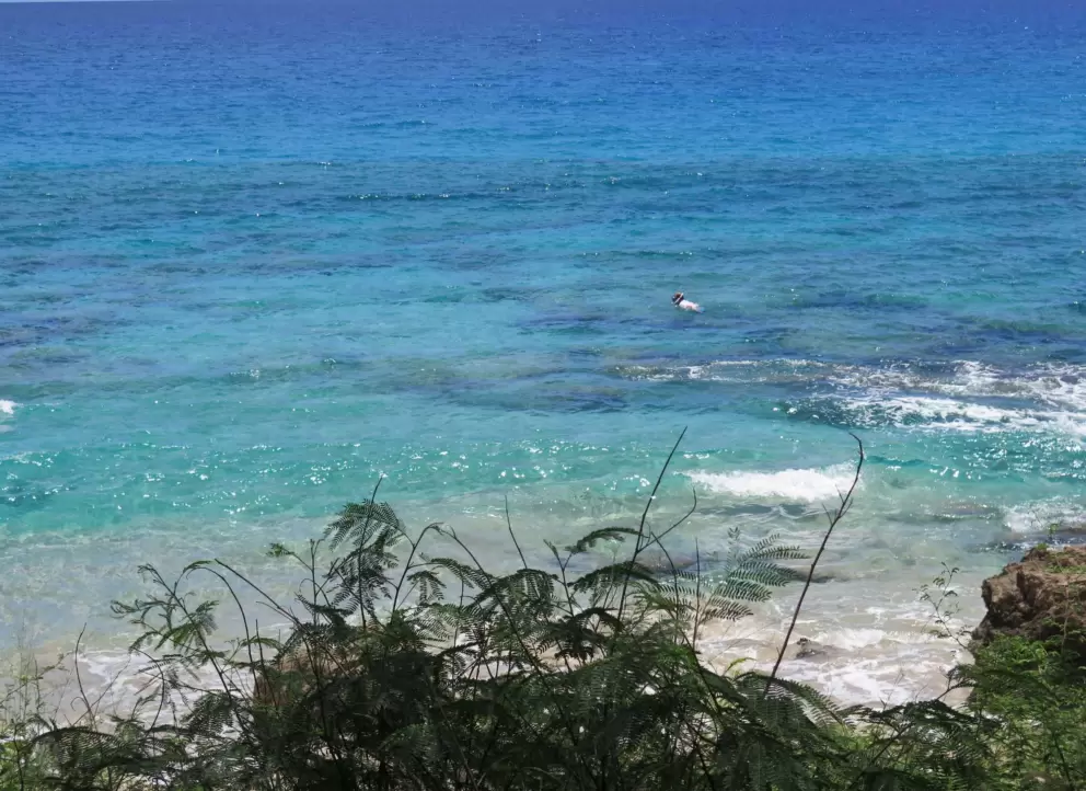 Someone snorkeling in the delightful waters at the northern end of the beach.