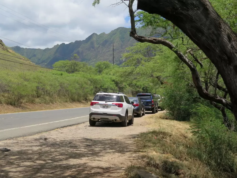 Shady parking where divers often park, on the northern end of the beach.