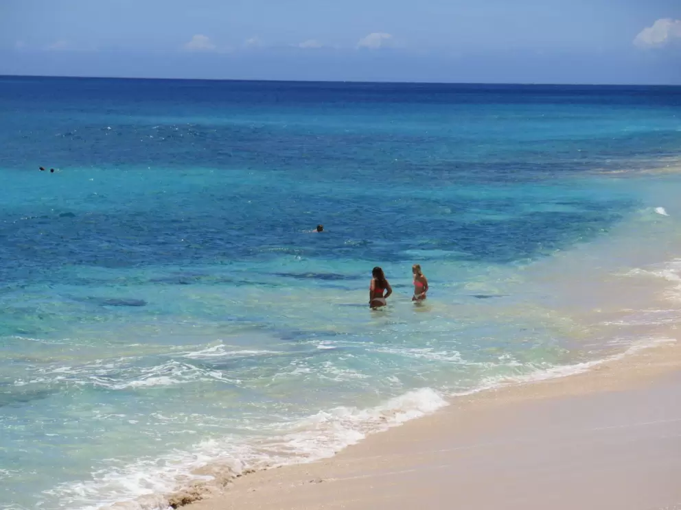Swimming in the clear waters.