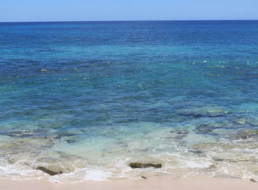 The water is enticing!