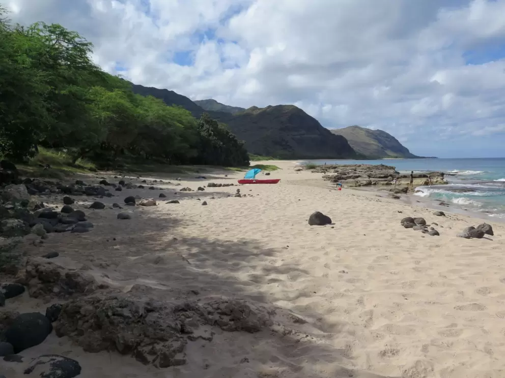 Lovely shade on the north end of the beach. 