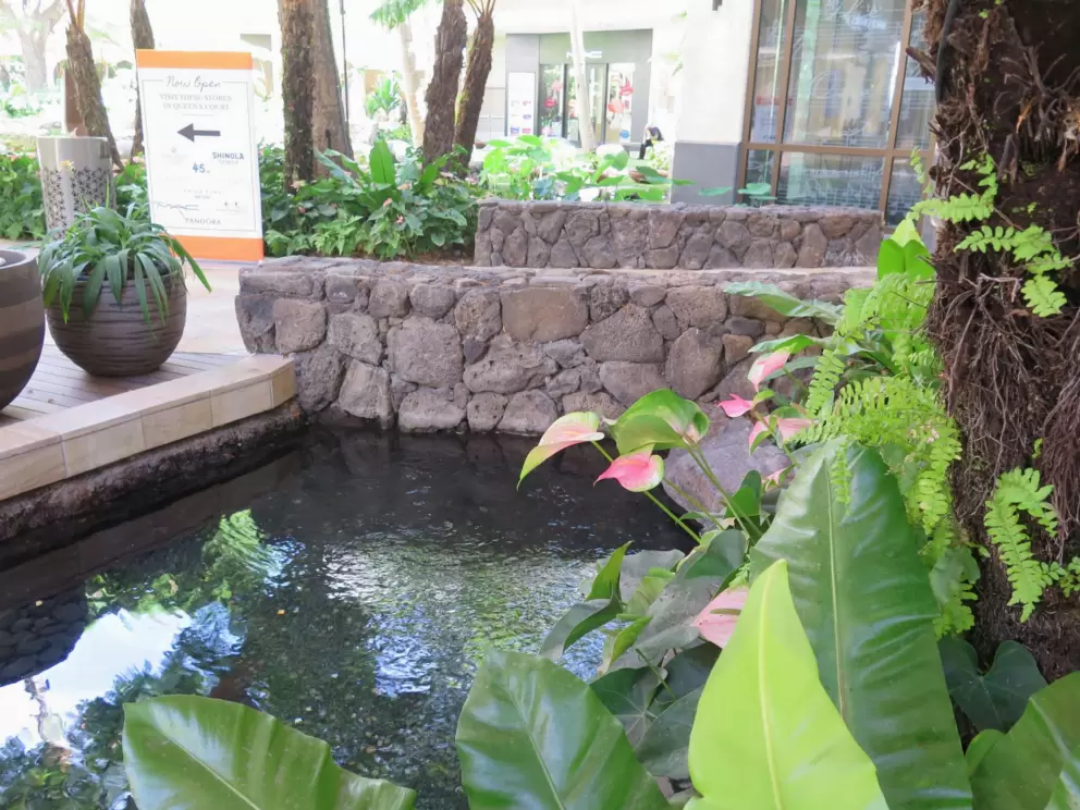 Lovely water feature and ferns.