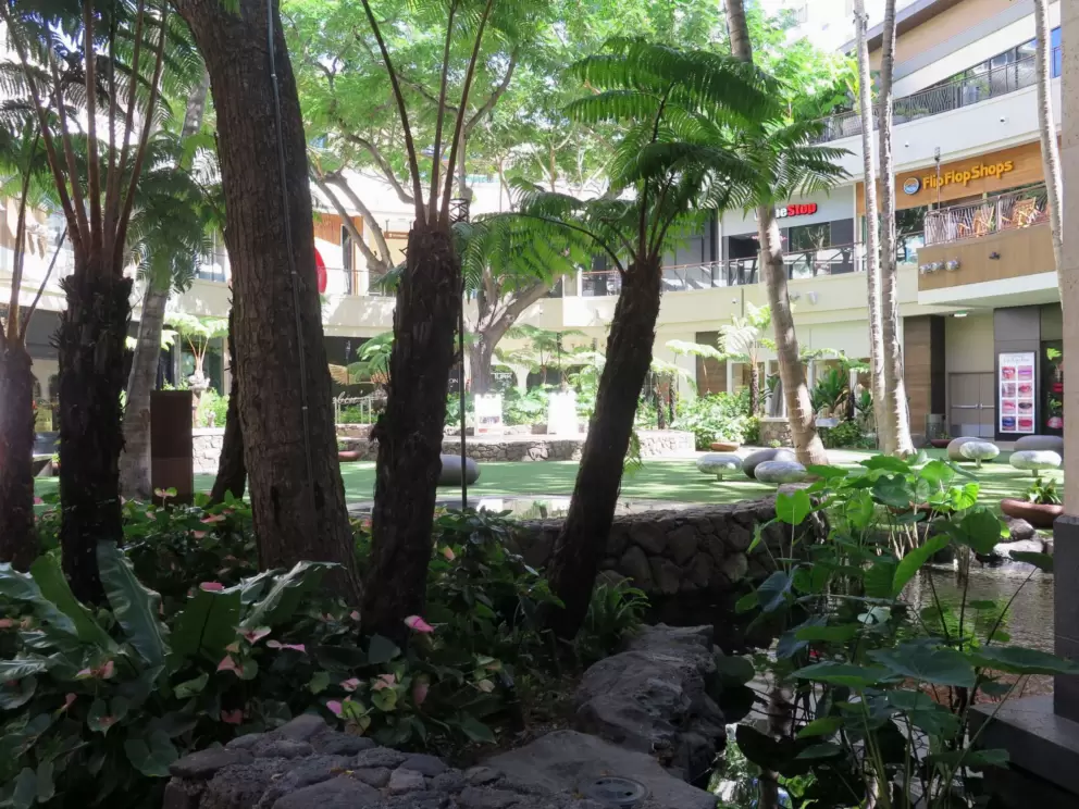 Stores and ferns.