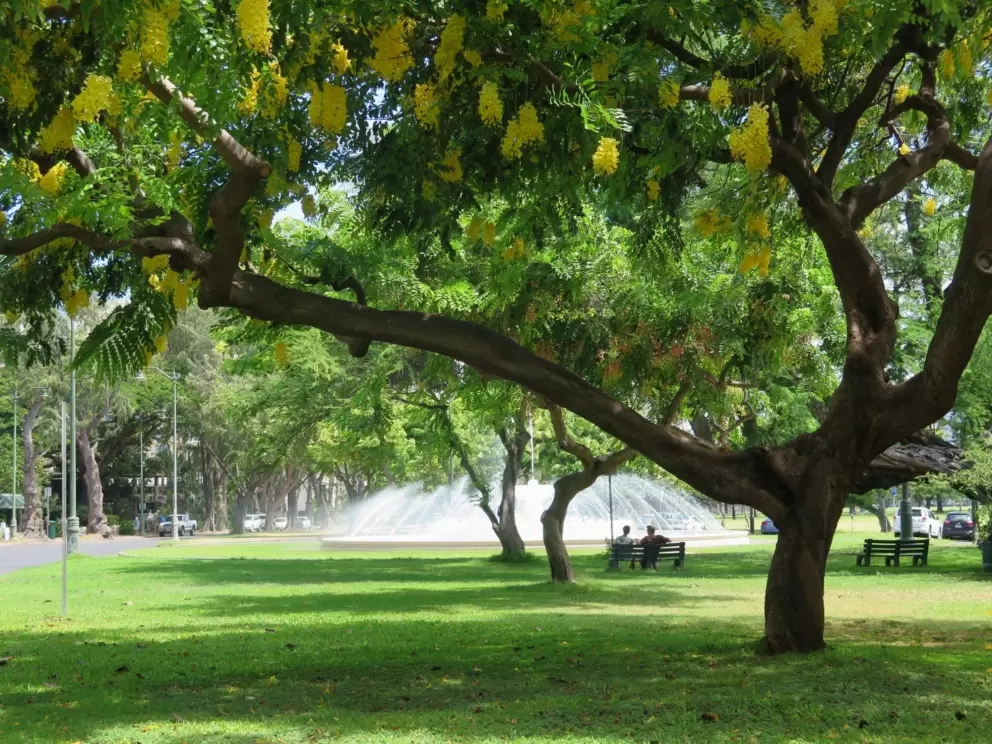 Fountain across from Kapiolani Park.