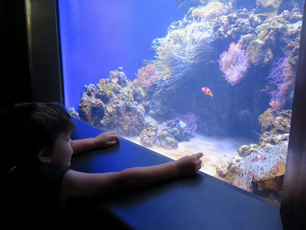 Waikiki  Aquarium