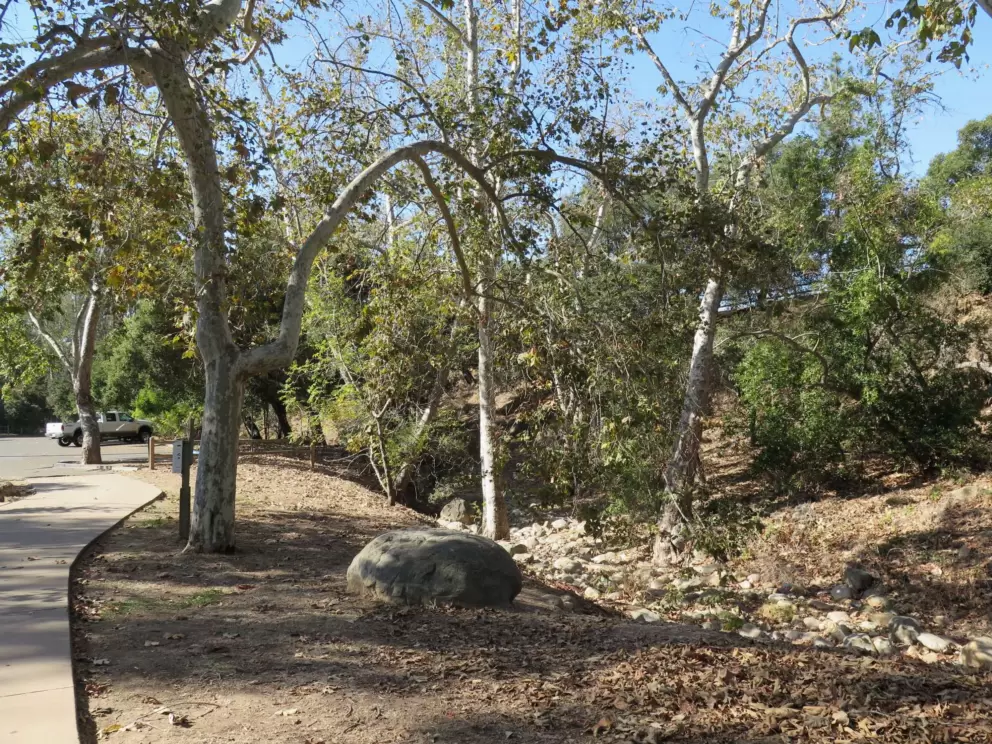 The dry creek bed.