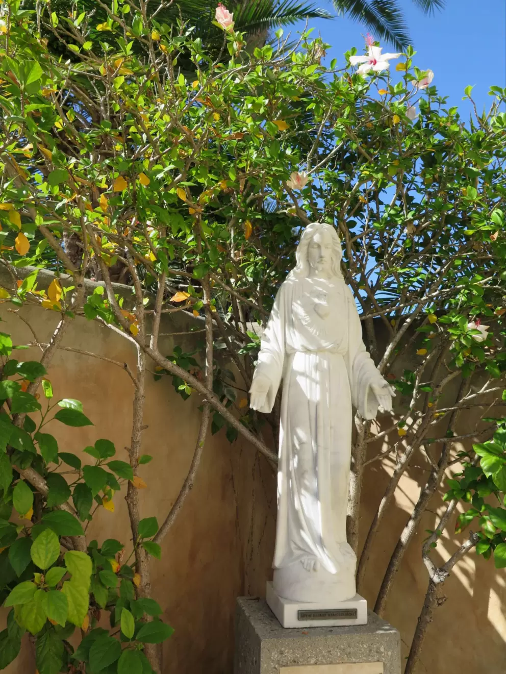 Statue of Jesus, with white hibiscus behind.