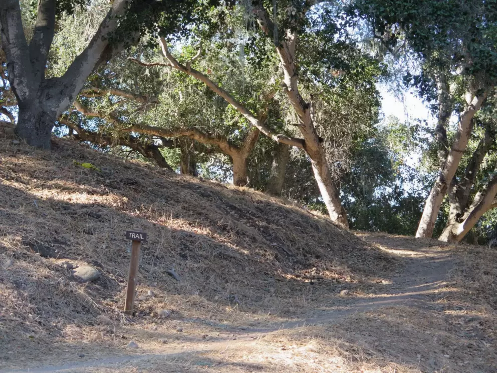 Trail.